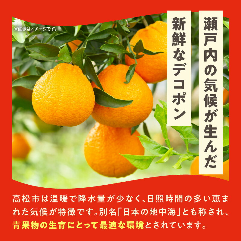【ふるさと納税】高松産季節の果物＜ハウスデコポン＞約2.8kg【2025年12月中旬～2026年3月中旬配送】 | みかん ハウス栽培 柑橘 果実 果物 フルーツ 薄皮 薄皮ごと食べられる 自宅用 家庭用 デザート 贈り物 ギフト グルメ お取り寄せ お取り寄せフルーツ サムネイル3