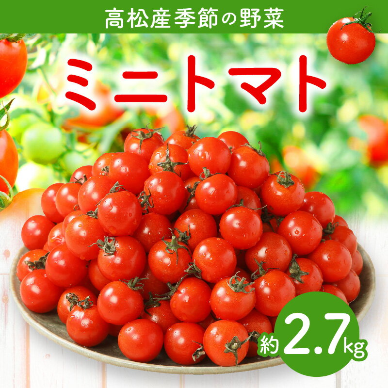 【ふるさと納税】ミニトマト約2.7kg【2025-11月上旬～2026-6月中旬配送】 | トマト プチトマト 野菜 甘味 酸味 バランス 夏野菜 高品質 産地直送 家庭用 自宅用 贈り物 お取り寄せ お取り寄せ野菜 冷蔵 香川県 高松市 - 画像2