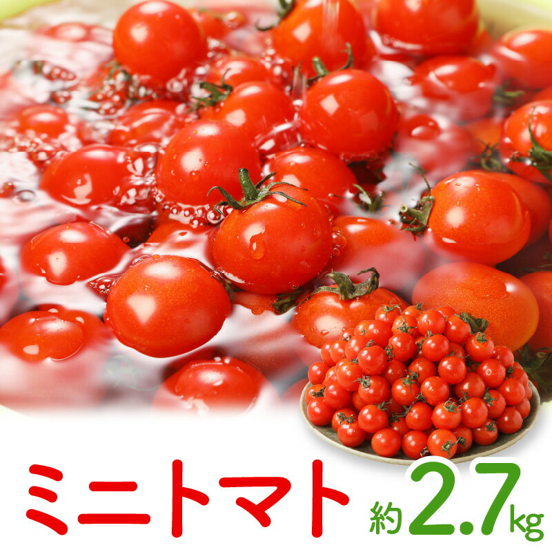 ミニトマト約2.7kg【2025-11月上旬～2026-6月中旬配送】 | トマト プチトマト 野菜 甘味 酸味 バランス 夏野菜 高品質 産地直送 家庭用 自宅用 贈り物 お取り寄せ お取り寄せ野菜 冷蔵 香川県 高松市