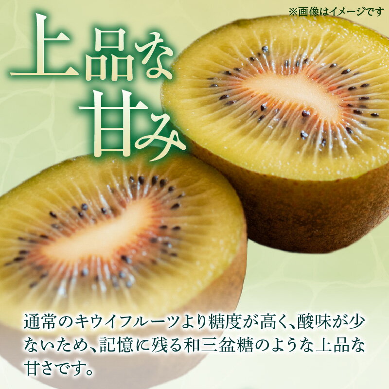 【ふるさと納税】さぬきエンジェルスイート 約2.2kg【2025年11月中旬～2026年1月中旬配送】 | キウイ キウイフルーツ 果物 フルーツ スイーツ デザート おやつ 糖度 甘い 青果 青果物 農産物 おすそ分け 手土産 家庭 お取り寄せ お取り寄せグルメ 人気 オススメグルメ サムネイル2
