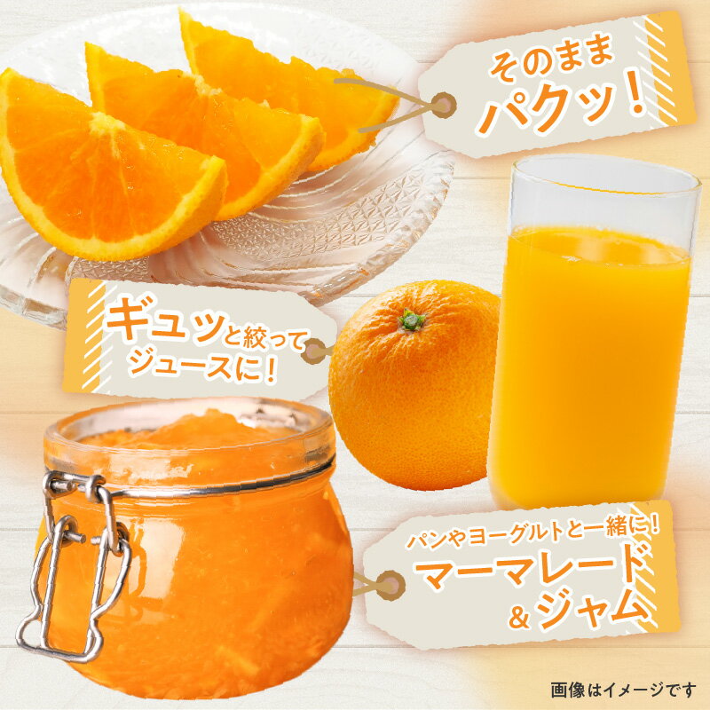 【ふるさと納税】訳あり ご家庭用 清見オレンジ 約7kg【2026-3月中旬～2026-4月上旬配送】 | 清見 オレンジ たっぷり ジューシー みかん 果物 フルーツ 柑橘 柑橘類 青果 青果物 農産物 国産 高松市産 プチプチ 弾ける 甘い 果汁 果肉 果汁 爽やか 丸ごと おすそ分け サムネイル3