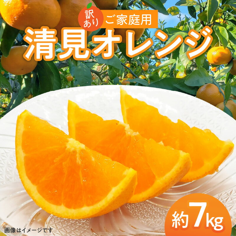 訳あり ご家庭用 清見オレンジ 約7kg【2026-3月中旬～2026-4月上旬配送】 | 清見 オレンジ たっぷり ジューシー みかん 果物 フルーツ 柑橘 柑橘類 青果 青果物 農産物 国産 高松市産 プチプチ 弾ける 甘い 果汁 果肉 果汁 爽やか 丸ごと おすそ分け