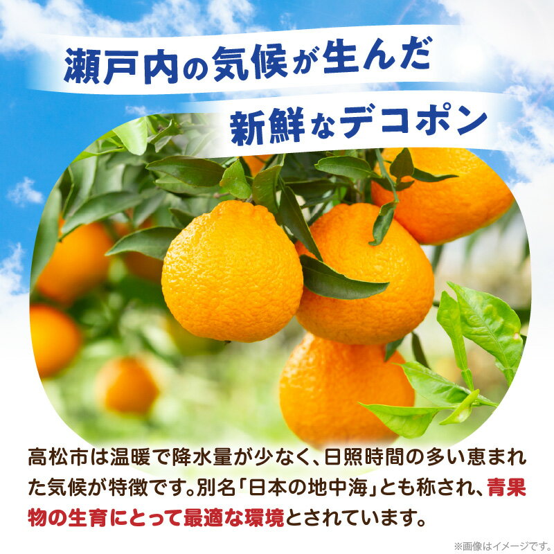 【ふるさと納税】高松産季節の果物＜ご家庭用　デコポン＞約4.5kg【2026年2月下旬～2026年4月上旬配送】 | みかん 果物 フルーツ 柑橘 定番品種 定番 蜜柑 果実 香川県 高松市 自宅用 食品 食べ物 お取り寄せ おすそ分け サムネイル3