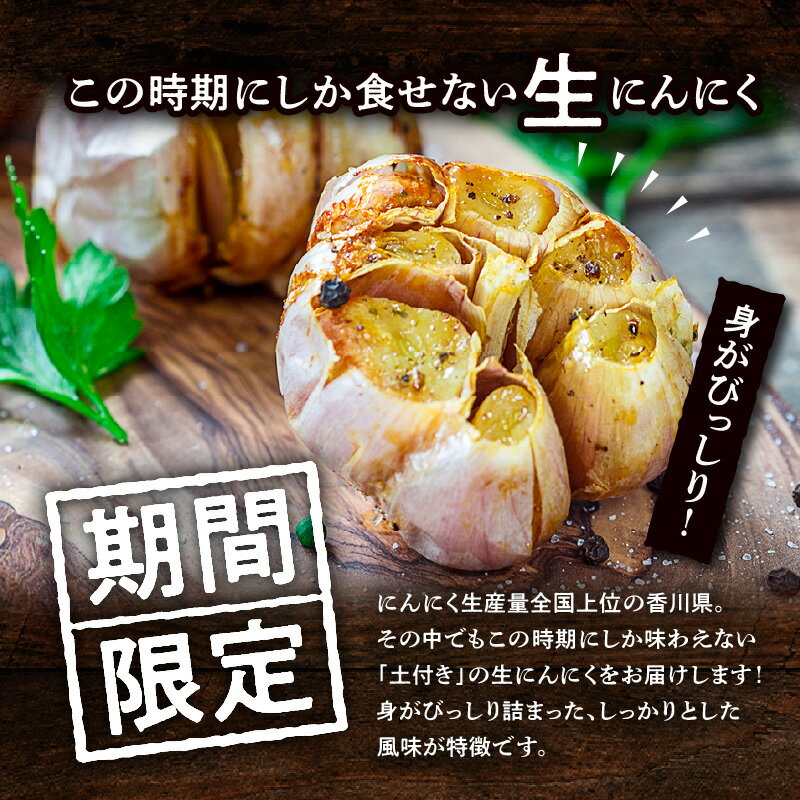 【ふるさと納税】土付きにんにく 約2kg【2026年5月上旬～2026年6月中旬配送】 | 国産 にんにく 野菜 肉厚 濃厚 土付き 新鮮 産地直送 鮮度抜群 風味抜群 旬 旬の野菜 季節の野菜 季節 農産物 生鮮食品 お取り寄せ おすそ分け 自宅用 家庭用 高松市産 瀬戸内 生にんにく - 画像2