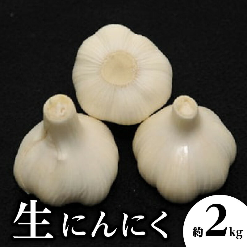 生にんにく 約2kg【2026-5月上旬～2026-6月上旬配送】 | 国産 にんにく 野菜 肉厚 濃厚 新鮮 産地直送 鮮度抜群 風味抜群 食品 旬 旬の野菜 季節の野菜 食材 季節 農作物 農産物 生鮮食品 お取り寄せ おすそ分け 自宅用 家庭用 高松市産 贈り物 瀬戸内