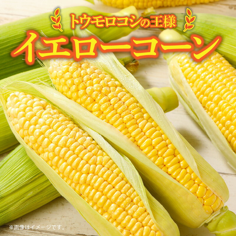 【ふるさと納税】＼寄附額改定／瀬戸内イエローコーン 約3kg【2026-6月上旬～2026-7月中旬配送】 | とうもろこ 王道 季節限定 甘い 柔らかい コーン ジューシー 弾ける 大粒 野菜 お取り寄せ 自宅用 家庭用 贈り物 プレゼント ギフト 高松市産 瀬戸内 冷蔵 - 画像2