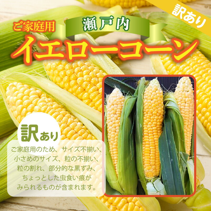【ふるさと納税】訳あり ご家庭用 瀬戸内イエローコーン 約8kg【2026-6月上旬～2026-7月中旬配送】 | サイズ 不揃い 小さい 粒 割れ 黒ずみ 家庭用 瀬戸内 イエローコーン コーン トウモロコシ とうもろこし 野菜 甘い 柔らかい ジューシー - 画像2
