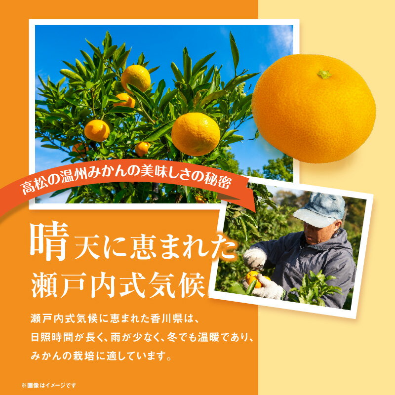 【ふるさと納税】＼寄附額改定／ みかん 選べる 容量 瀬戸内 温州みかん 小粒サイズ | 先行予約 ミカン 果物 くだもの フルーツ 人気 おすすめ 香川 香川県 蜜柑 甘い 詰合せ 詰め合わせ ふるさとみかん ご当地 国産 サムネイル3