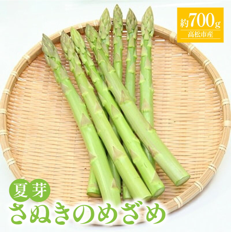 さぬきのめざめ 夏芽 約700g アスパラガス【2026-6月上旬～2026-11月上旬配送】 | シャキシャキ食感 ジューシー 柔らかい グリーン アスパラガス 野菜 食品 人気 おすすめ お取り寄せ お取り寄せグルメ 産地直送 オリジナル 品種