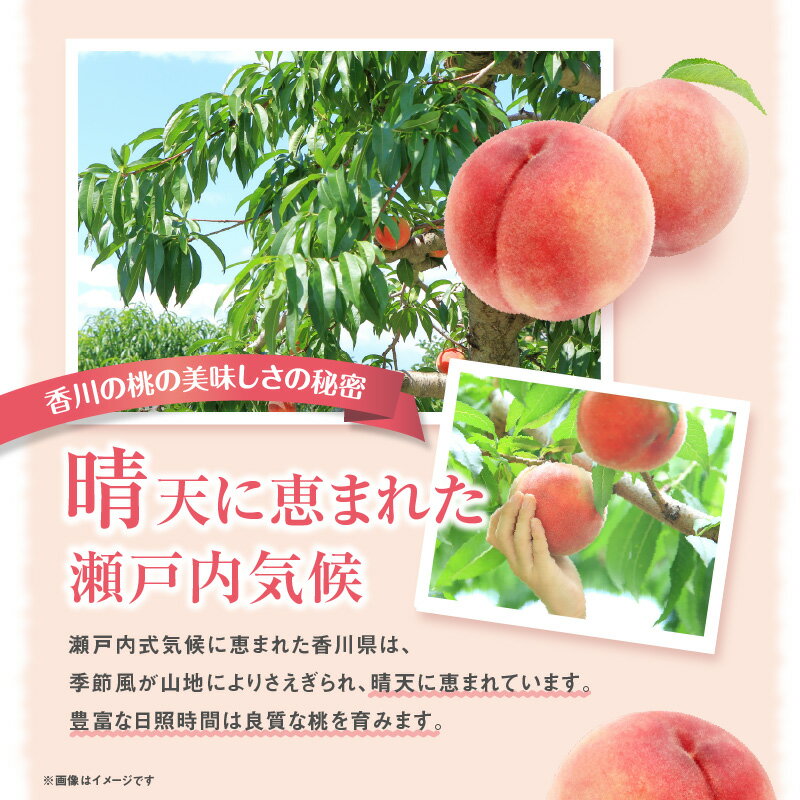 【ふるさと納税】香川の桃(小玉) 約3.6kg【2026年6月中旬～2026年8月上旬配送】 | 果物 フルーツ デザート スイーツ 青果 青果物 果実 果肉 果汁 旬 旬の果物 季節の果物 季節 産地直送 農産物 生鮮食品 生鮮 高松市産 瀬戸内 ご褒美 おすそ分け 手土産 グルメ お取り寄せ - 画像2