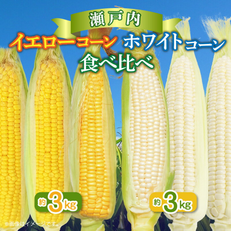 【ふるさと納税】瀬戸内ホワイトコーン・イエローコーン食べ比べ 各約3kg【2026-6月中旬～2026-7月中旬配送】 | とうもろこし 国産 高松市産 野菜 ギフト お取り寄せ 自宅用 家庭用 贈り物 瀬戸内 香川県 高松市 白い 甘い 冷蔵 - 画像2