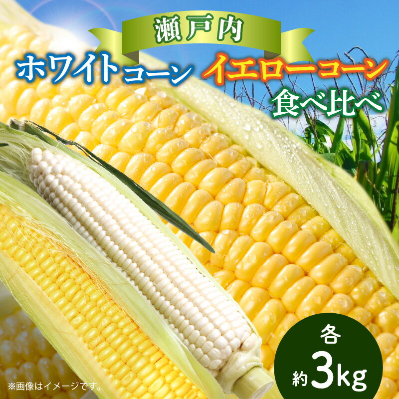 瀬戸内ホワイトコーン・イエローコーン食べ比べ 各約3kg【2026-6月中旬～2026-7月中旬配送】 | とうもろこし 国産 高松市産 野菜 ギフト お取り寄せ 自宅用 家庭用 贈り物 瀬戸内 香川県 高松市 白い 甘い 冷蔵