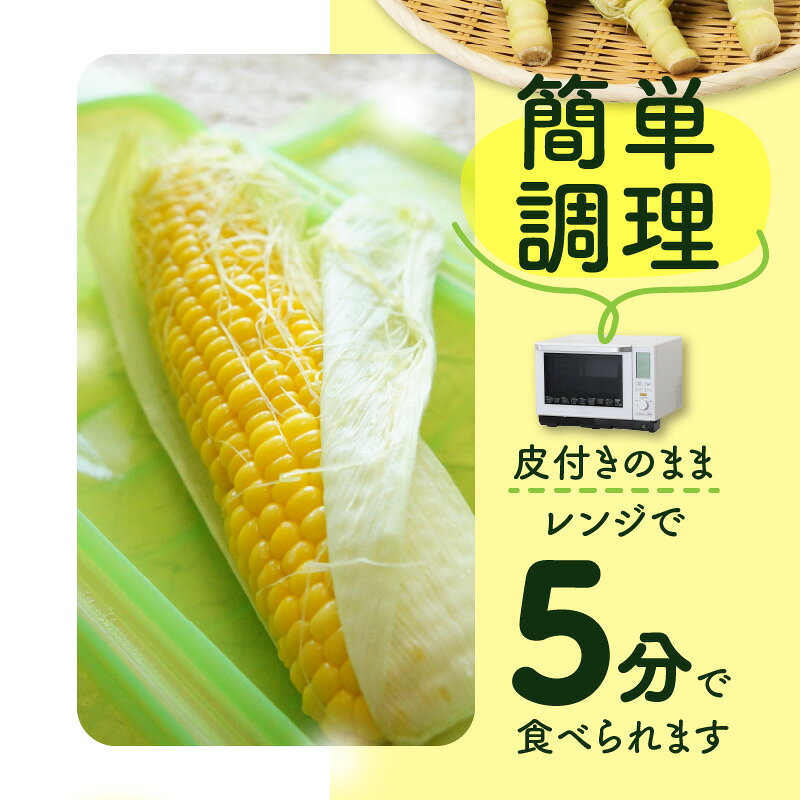 【ふるさと納税】＼寄附額改定／ドルチェドリーム 約2kg(高松市)【2026年6月上旬～2026年7月上旬配送】 | とうもろこし コーン フルーツのような味わい 国産 香川県産 野菜 お取り寄せ 自宅用 家庭用 瀬戸内 香川県 高松市 食品 冷蔵 - 画像3