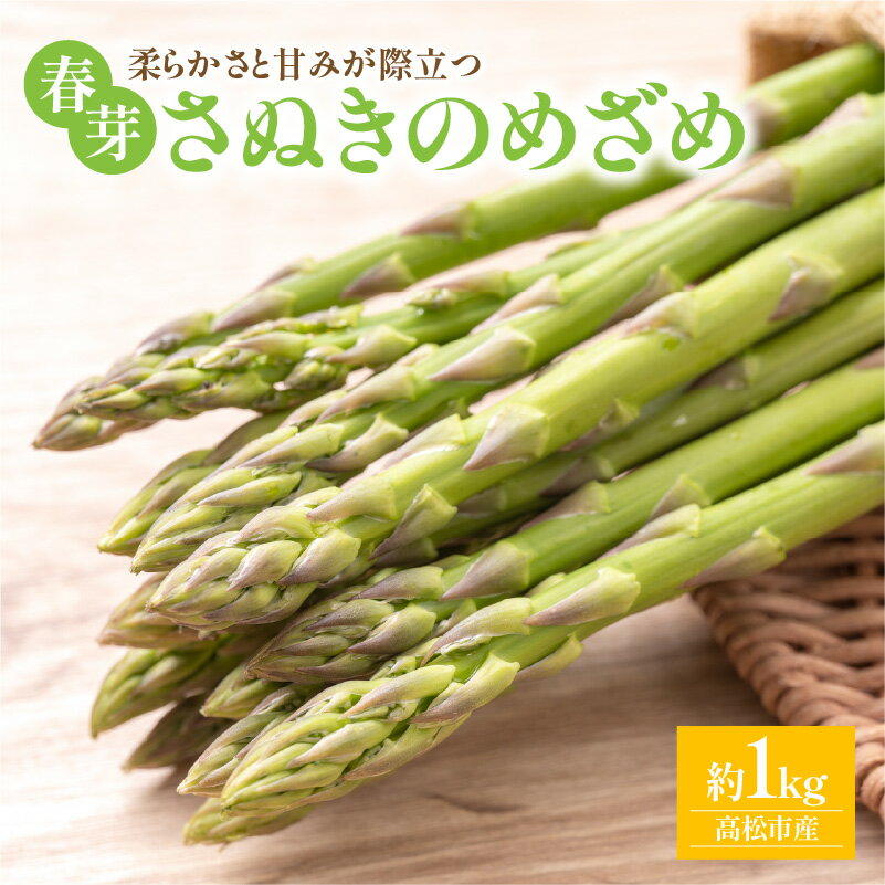 柔らかさと甘みが際立つ さぬきのめざめ春芽 約1kg【2026-3月上旬～2026-4月下旬配送】 | アスパラガス 国産 甘い シャキシャキ オリジナル品種 アスパラ 贈り物 自宅用 家庭用 おうち時間 お取り寄せ 野菜 産地直送 高松市産 料理 食材 アスパラベーコン