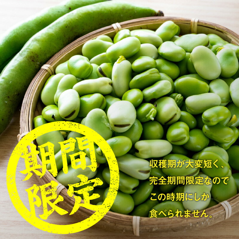 【ふるさと納税】旬の味覚 そらまめ 約2kg【2026年5月上旬～2026年6月上旬配送】 | 国産 高松市産 大粒 甘い 野菜 豆 旬 旬の味覚 食材 食品 おうち時間 家庭用 自宅用 贈り物 お取り寄せ 産地直送 瀬戸内 五色青果 香川県 高松市 送料無料 - 画像2