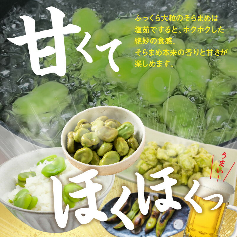【ふるさと納税】旬の味覚 そらまめ 約2kg【2026年5月上旬～2026年6月上旬配送】 | 国産 高松市産 大粒 甘い 野菜 豆 旬 旬の味覚 食材 食品 おうち時間 家庭用 自宅用 贈り物 お取り寄せ 産地直送 瀬戸内 五色青果 香川県 高松市 送料無料 - 画像3