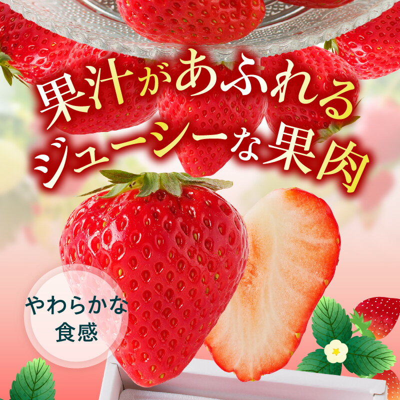【ふるさと納税】さぬきひめいちご化粧箱 約400g【2026-1月上旬～2026-4月下旬配送】 | ギフト 贈り物 プレゼント 贈答 ご褒美 お祝い 内祝い 化粧箱入り 箱入り お取り寄せ デザート おやつ さぬきひめ 国産 果物 フルーツ 野菜 果実的野菜 果汁 グルメ 高松市産 - 画像2