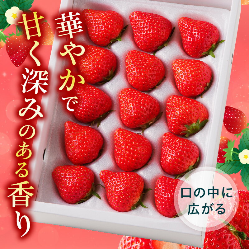 【ふるさと納税】さぬきひめいちご化粧箱 約400g【2026-1月上旬～2026-4月下旬配送】 | ギフト 贈り物 プレゼント 贈答 ご褒美 お祝い 内祝い 化粧箱入り 箱入り お取り寄せ デザート おやつ さぬきひめ 国産 果物 フルーツ 野菜 果実的野菜 果汁 グルメ 高松市産 - 画像3