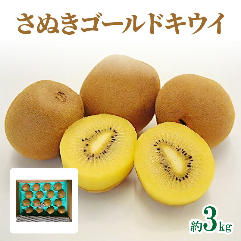 さぬきゴールドキウイ　約3kg【2025-10月中旬～2026-1月下旬配送】 | 化粧箱入り キウイ 甘い 大きい 果物 フルーツ デザート スイーツ 産地直送 ギフト 贈り物 贈答用 プレゼント 食品 人気 おすすめ お取り寄せ お取り寄せグルメ