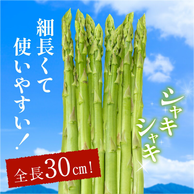 【ふるさと納税】シャキシャキ食感 さぬきのめざめ セミロング 30cm ( Mサイズ ) 約900g【2026年7月上旬～2026年10月中旬配送】 | ジューシー 柔らかい グリーン アスパラガス 野菜 食品 人気 おすすめ お取り寄せ お取り寄せグルメ 産地直送 送料無料 - 画像2