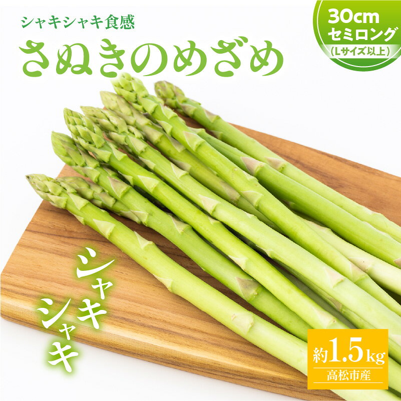 シャキシャキ食感 さぬきのめざめ セミロング 30cm ( Lサイズ 以上 ) 約1.5kg【2026-7月上旬～2026-10月中旬配送】 | 柔らかい アスパラガス 野菜 食品 人気 おすすめ お取り寄せ お取り寄せグルメ 産地直送