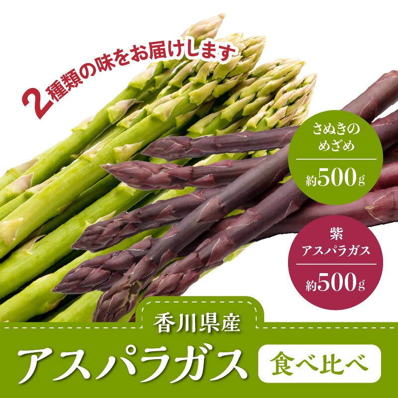 【ふるさと納税】アスパラガス 食べ比べ ( 紫 アスパラガス 500g と さぬきのめざめ 500g ) 約1kg 【2026-6月上旬～2026-10月中旬配送】 | シャキシャキ 食感 ジューシー 柔らかい グリーンアスパラガス 野菜 食品 人気 おすすめ お取り寄せ お取り寄せグルメ 産地直送 - 画像2