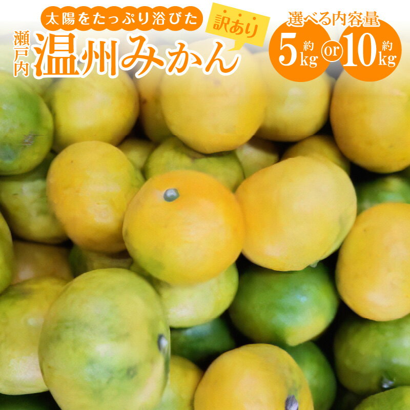 ＼寄附額改定／内容量が選べる【訳あり】太陽たっぷり浴びた　瀬戸内温州みかん　【2024-10月上旬～2025-1月中旬配送】 | 果物 フルーツ みかん オレンジ 蜜柑 ミカン 果汁 果肉 サイズ混合 香川県 高松市