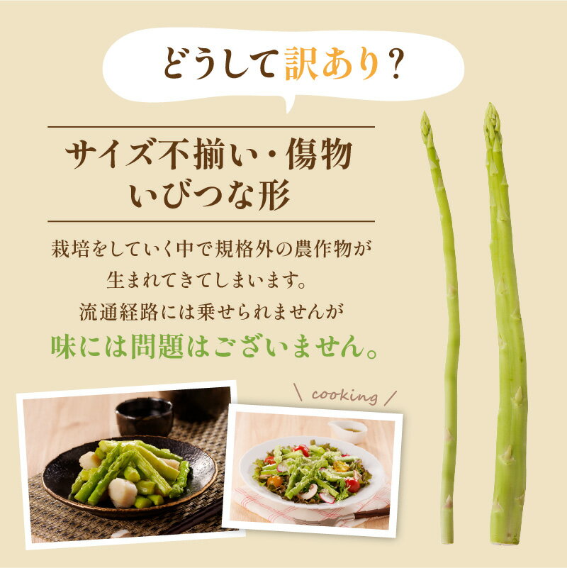 【ふるさと納税】訳あり 柔らかさと甘みが際立つ さぬきのめざめ春芽 約1.2kg【2026-3月上旬～2026-4月下旬配送】 | 国産 春芽 大きい 柔らかい 甘い オリジナル品種 自宅用 家庭用 おうち時間 お取り寄せ 新鮮 野菜 旬 旬の味覚 産地直送 香川県 高松市 - 画像2