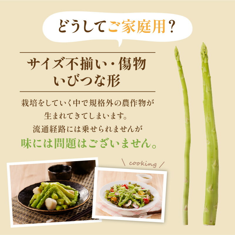 【ふるさと納税】訳あり ご家庭用 さぬきのめざめ セミロング 30cm ( 細物・サイズ混合 ) 約1.2kg【2026年7月上旬～2026年10月中旬配送】 | 細物 サイズ混合 アスパラガス アスパラ 野菜 オリジナル品種 シャキシャキ 食材 料理 サラダ 肉巻き 付け合わせ アスパラベーコン - 画像2