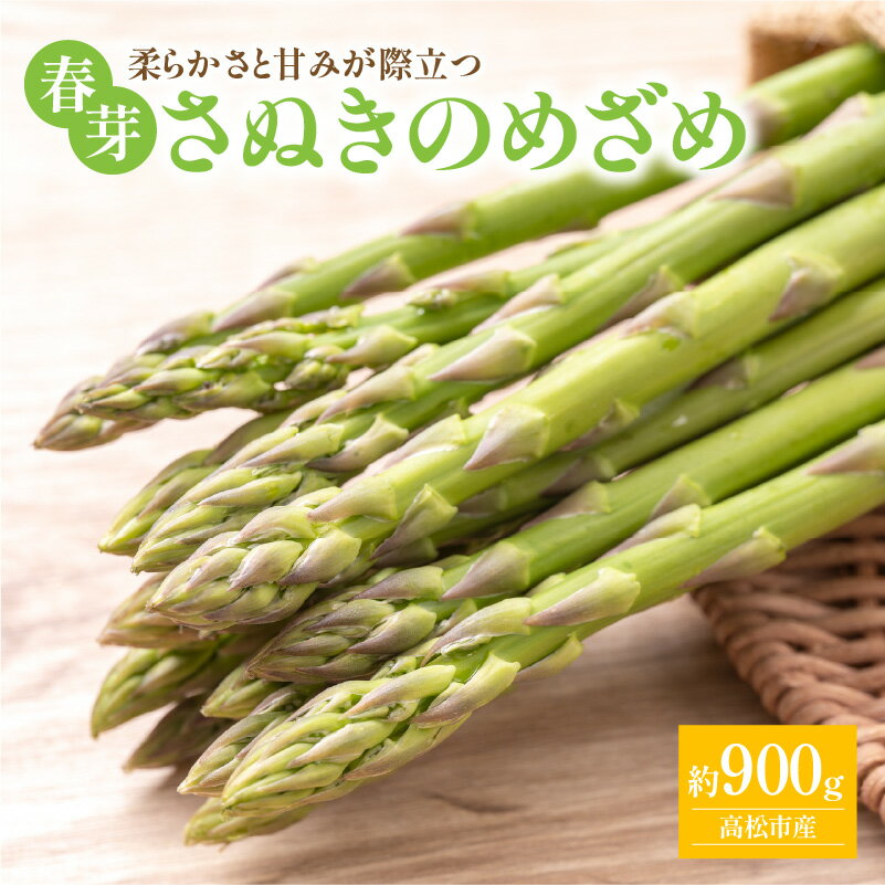 柔らかさと甘みが際立つ さぬきのめざめ春芽 約900g【2026-3月上旬～2026-4月下旬配送】 | 国産 爽やか 甘い 柔らかい 歯ごたえ オリジナル品種 品種 アスパラ お取り寄せ 新鮮 野菜 産地直送 旬 旬の野菜 アレンジ 料理 アスパラベーコン 高松市産