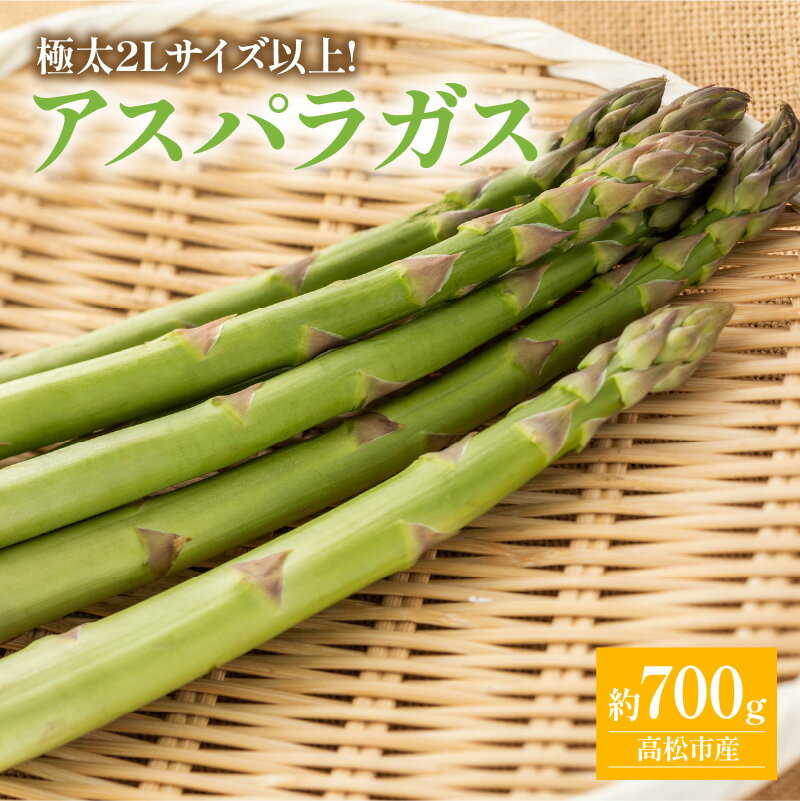 期間限定企画 極太2Lサイズ以上! アスパラガス 約700g【2026-3月上旬～2026-4月下旬配送】 | 国産 高松市産 極太サイズ シャキシャキ 甘い 野菜 旬 旬の野菜 新鮮 産地直送 ご家庭 自宅用 おすそ分け 料理 材料 おうち時間 BBQ グルメ 冷蔵 瀬戸内