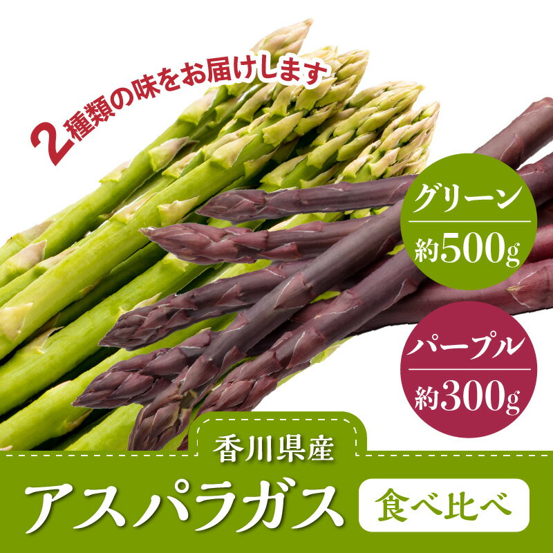 【ふるさと納税】グリーン(約500g)・パープル(約300g)アスパラガス食べ比べセット【2026-3月上旬～2026-9月下旬配送】 | アスパラガス 食べ比べ セット 野菜 アスパラ 香川県 高松市 シャキシャキ 甘み 柔らかい お取り寄せ - 画像2