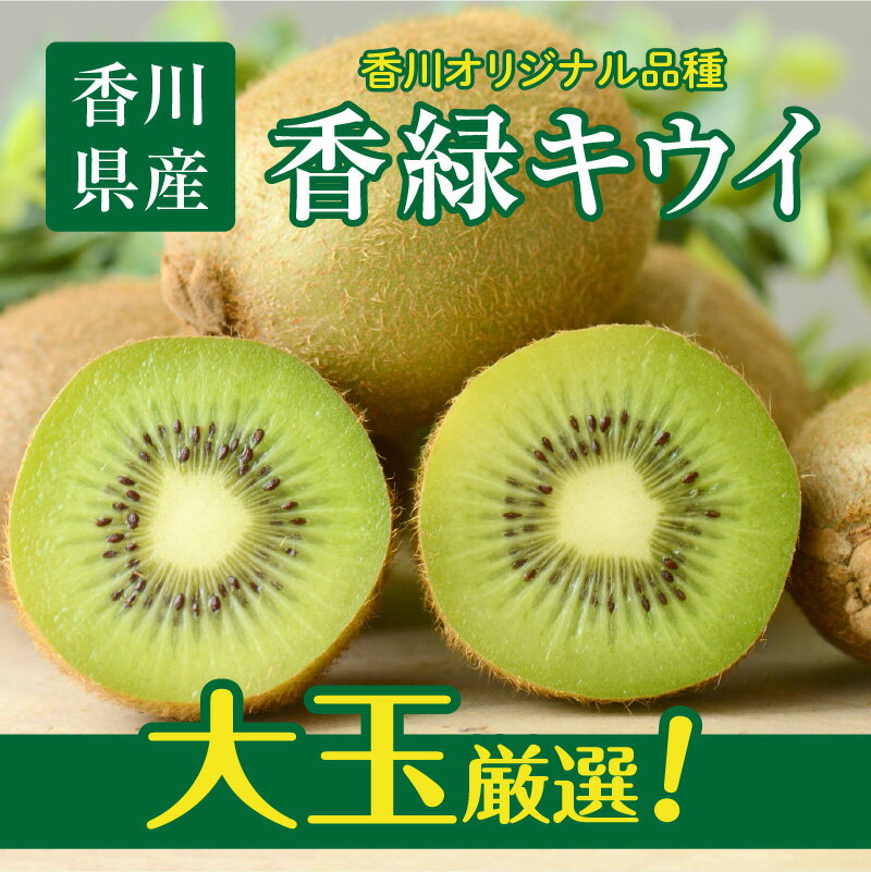 【ふるさと納税】大玉厳選(3Lサイズ以上)!香緑キウイ　約1.3kg【2026-1月上旬～2026-3月上旬配送】 サムネイル2