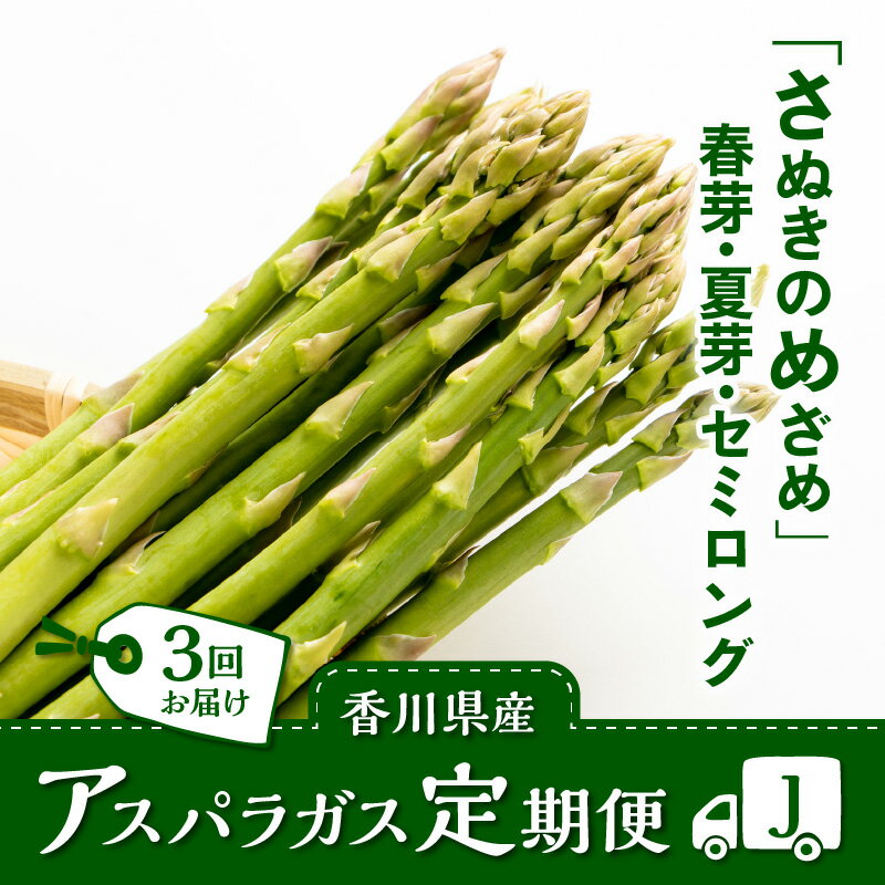 【ふるさと納税】香川県産アスパラガス定期便J | さぬきのめざめ 香川県産 定期便J アスパラ 春芽 夏芽 セミロング 瀬戸内 シャキシャキ食感 柔らかい 爽やかな甘み 野菜 食品 人気 おすすめ お取り寄せ野菜 オリジナル品種 送料無料 香川県 高松市 - 画像2