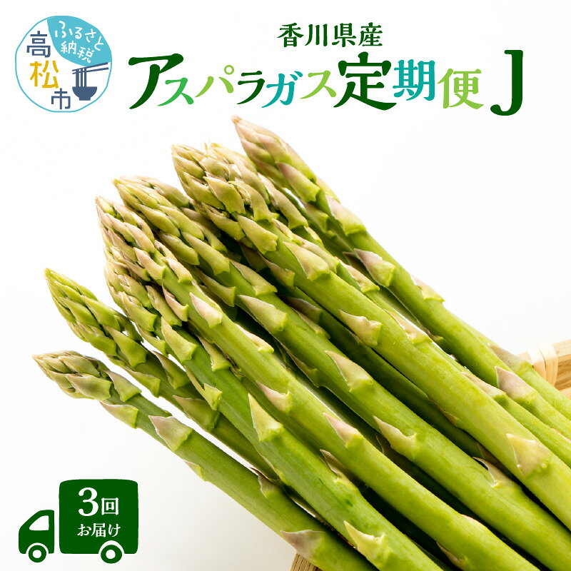 香川県産アスパラガス定期便J | さぬきのめざめ 香川県産 定期便J アスパラ 春芽 夏芽 セミロング 瀬戸内 シャキシャキ食感 柔らかい 爽やかな甘み 野菜 食品 人気 おすすめ お取り寄せ野菜 オリジナル品種 送料無料 香川県 高松市