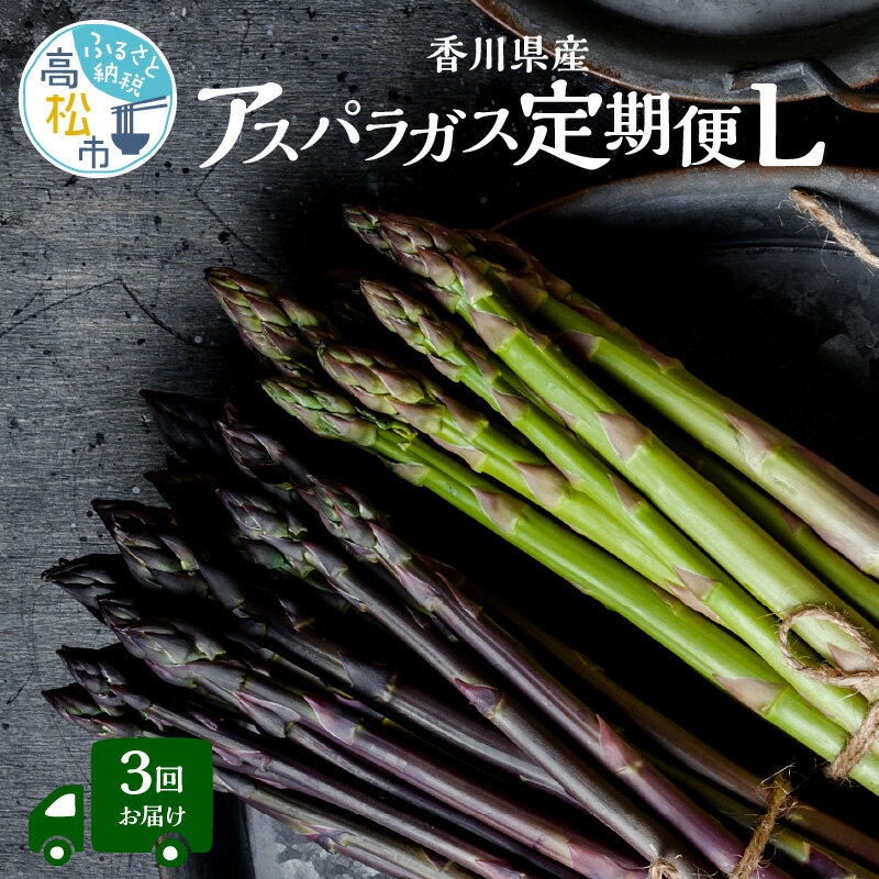 香川県産アスパラガス定期便L | さぬきのめざめ 香川県産 定期便L アスパラ 紫アスパラガス 春芽 セミロング 食べ比べ 瀬戸内 シャキシャキ食感 柔らかい 爽やかな甘み 野菜 食品 人気 おすすめ お取り寄せ野菜 オリジナル品種 送料無料 香川県 高松市