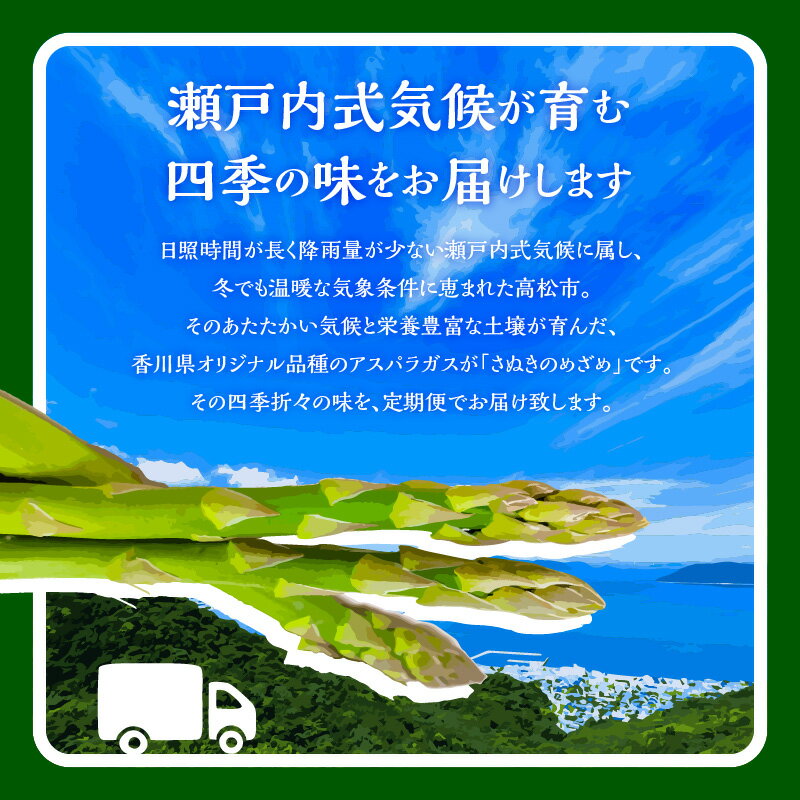 【ふるさと納税】香川県産アスパラガス定期便M | さぬきのめざめ 香川県産 定期便M 春芽 ロング セミロング 食べ比べ 瀬戸内 シャキシャキ食感 柔らかい 爽やかな甘み 野菜 食品 人気 おすすめ お取り寄せ野菜 オリジナル品種 送料無料 香川県 高松市 - 画像3