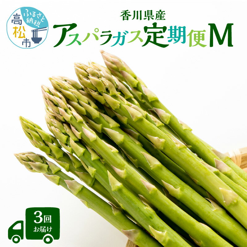 香川県産アスパラガス定期便M | さぬきのめざめ 香川県産 定期便M 春芽 ロング セミロング 食べ比べ 瀬戸内 シャキシャキ食感 柔らかい 爽やかな甘み 野菜 食品 人気 おすすめ お取り寄せ野菜 オリジナル品種 送料無料 香川県 高松市