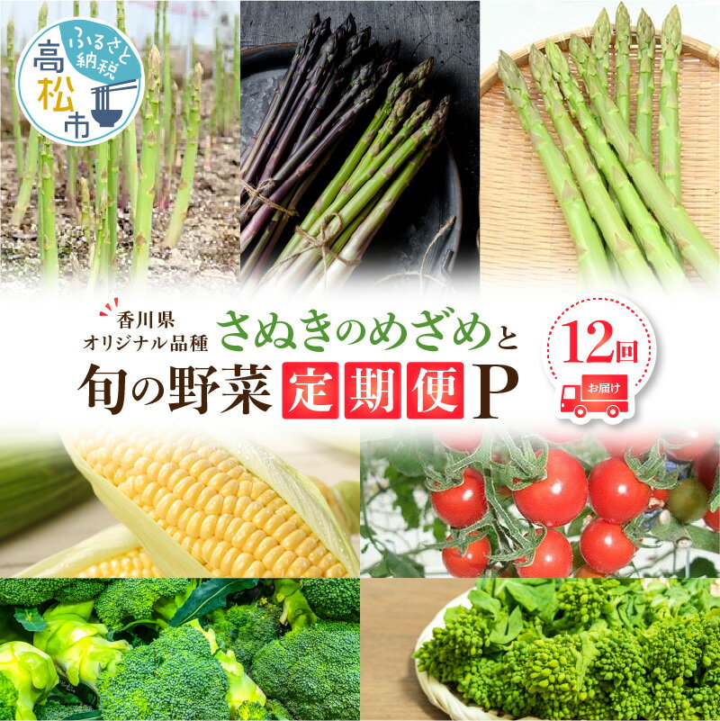 「香川県オリジナル品種さぬきのめざめ」と旬の野菜 定期便P | 家庭用 生にんにく にんにく イエローコーン とうもろこし トウモロコシ シャキシャキ 食感 アスパラガス 食べ比べ 紫アスパラガス ミニトマト トマト ブロッコリー 菜の花 セット 新鮮 国産