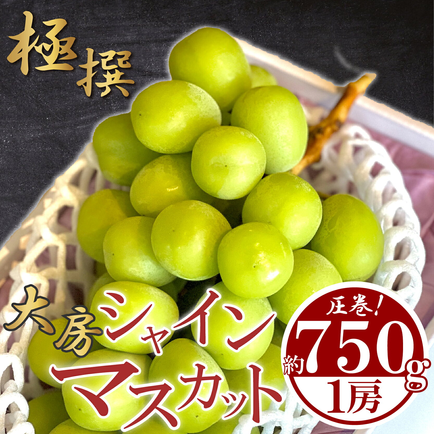 先行予約 大房 シャインマスカット 1房 約750g 特大 大房 マスカット ぶどう 葡萄 ブドウ フルーツ 果物 くだもの ふるさと納税シャインマスカット ふるさと納税ぶどう 瀬戸内 高級 デザート スイーツ 果実 甘い 旬 国産 送料無料 ふるさと納税