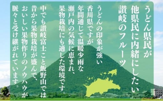 【ふるさと納税】 大房 シャインマスカット ＆ ニューピオーネ 各1房 ( 各約600g ) マスカット ピオーネ ぶどう 葡萄 ブドウ フルーツ 果物 くだもの 瀬戸内 ふるさと納税シャインマスカット ふるさと納税ぶどう デザート スイーツ ゼリー ジュース アイス ふるさと納税 サムネイル3