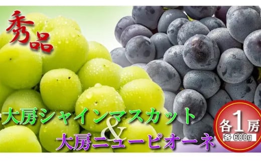 大房 シャインマスカット ＆ ニューピオーネ 各1房 ( 各約600g ) マスカット ピオーネ ぶどう 葡萄 ブドウ フルーツ 果物 くだもの 瀬戸内 ふるさと納税シャインマスカット ふるさと納税ぶどう デザート スイーツ ゼリー ジュース アイス ふるさと納税