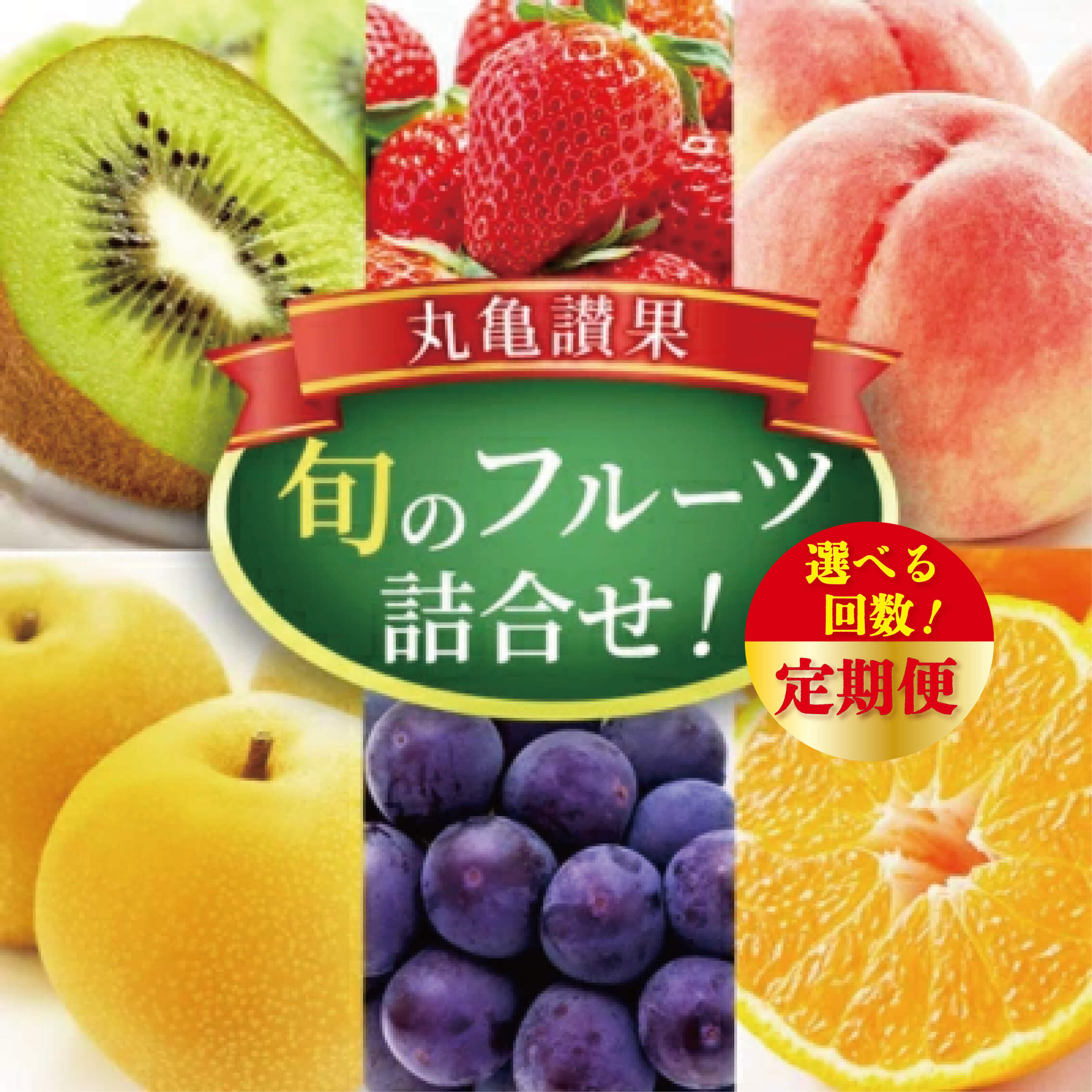 フルーツ 定期便 選べる回数 いちご 苺 みかん 蜜柑 柑橘 デコポン 不知火 びわ 桃 もも 梨 ナシ ぶどう 葡萄 マスカット 柿 キウイ せとか はっさく オレンジ 果物 デザート スイーツ ふるさと納税定期便 ふるさと納税フルーツ 冷蔵 ふるさと納税