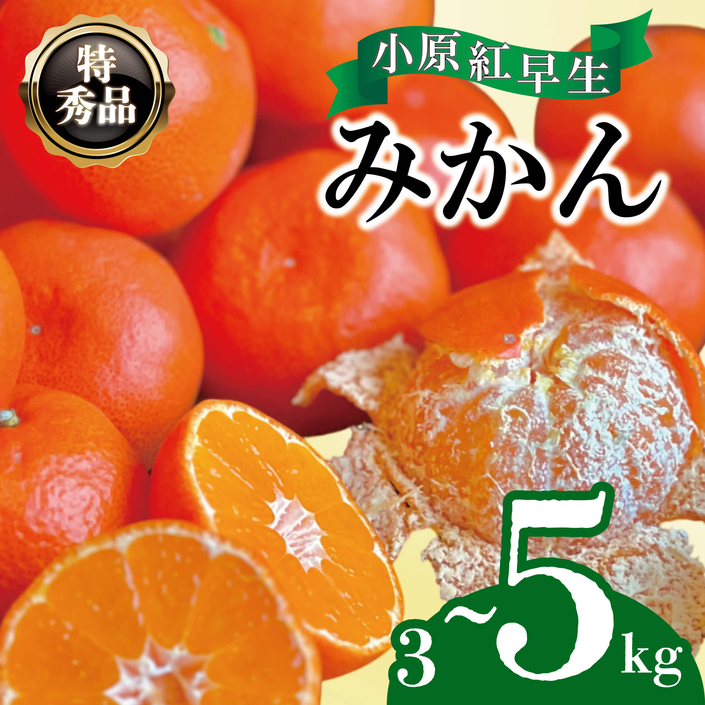【2025年11月中旬より順次発送】【特秀品】みかん 小原紅早生 約3~5kg 真っ赤なみかん 小原紅早生みかん 甘い ミカン 蜜柑 フルーツ 果物 くだもの 柑橘 柑橘類 デザート 旬 産地直送 冬の味覚 旬の果物 旬のフルーツ お取り寄せ 取り寄せ