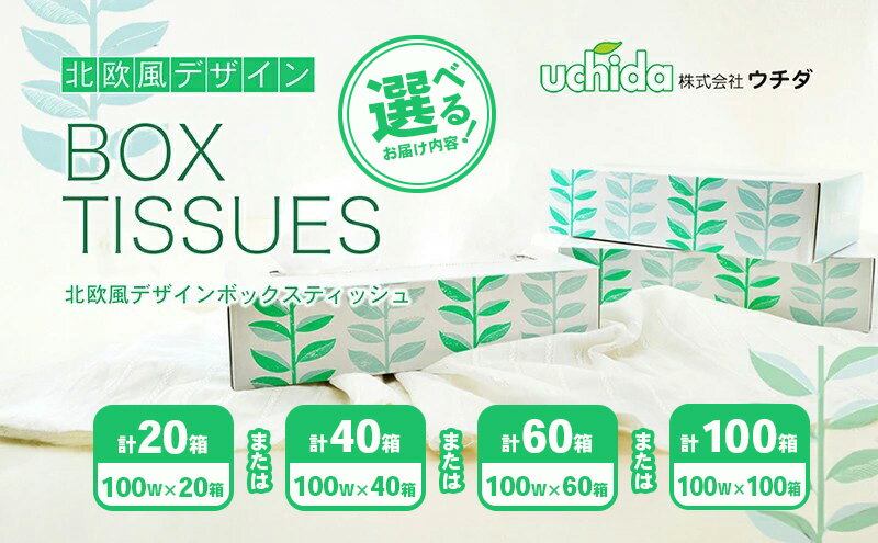 【ふるさと納税】 ティッシュペーパー 選べる容量 20箱 40箱 60箱 100箱 定期便 1箱100組 (200枚) 北欧風デザイン ティッシュペーパー ティッシュ 日用品 消耗品 生活用品 常備品 まとめ買い 大容量 雑貨 必需品 紙 パルプ 高評価 災害 備蓄 防災 送料無料 - 画像2