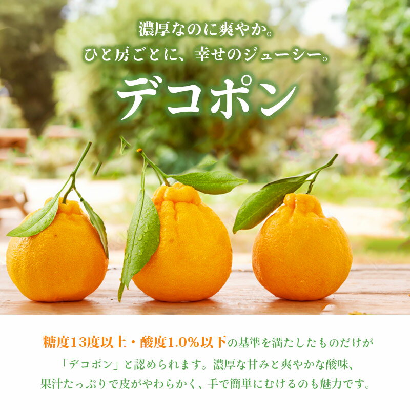 【ふるさと納税】 【2026年3月中旬から発送】デコポン(L～2L) 3kg～5kg でこぽん みかん 蜜柑 ミカン 柑橘 果物 くだもの 果実 フルーツ 旬 旬の果物 デザート スイーツ おやつ ゼリー ジュース 人気果物 人気フルーツ ランキング 香川 丸亀 サムネイル2