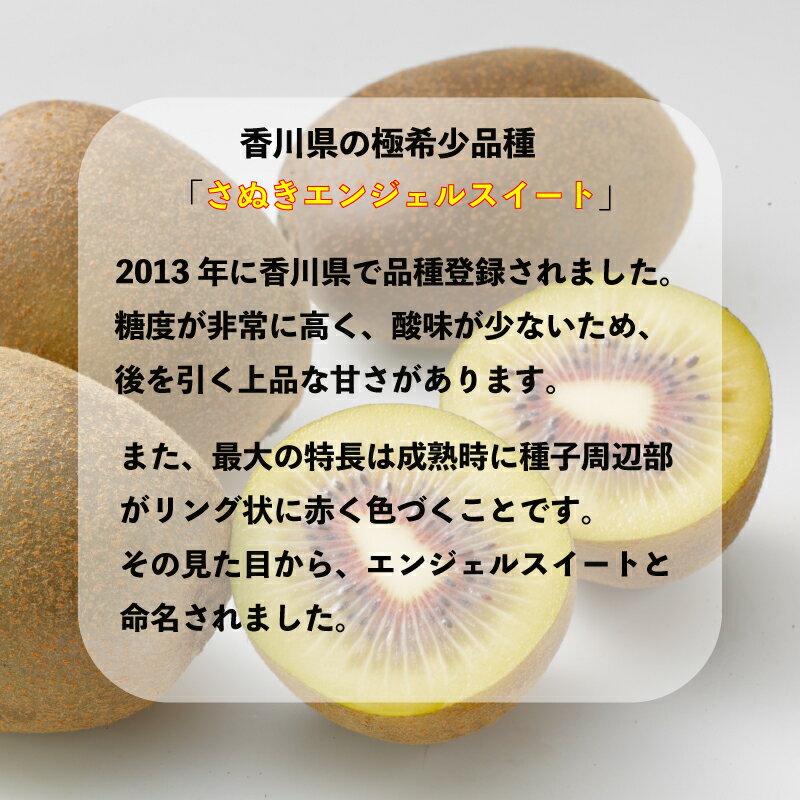 【ふるさと納税】 キウイ さぬきエンジェルスイート 選べる 約1kg 約2kg 常温 先行予約 11月上旬以降発送 果物 フルーツ 香川県 丸亀市 サムネイル2