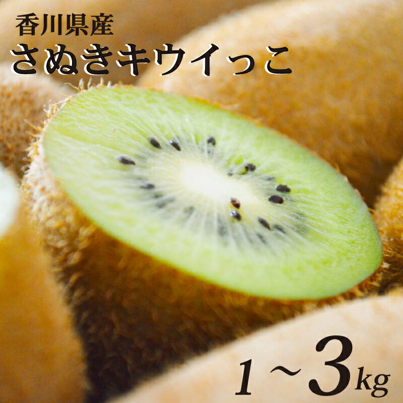 さぬきキウイっこ キウイ 選べる 約1kg - 約3kg 常温 先行予約 11月上旬以降発送 果物 フルーツ 香川県 丸亀市
