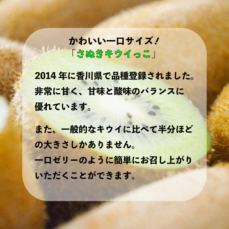 【ふるさと納税】 さぬきキウイっこ キウイ 選べる 約1kg - 約3kg 常温 先行予約 11月上旬以降発送 果物 フルーツ 香川県 丸亀市 サムネイル2