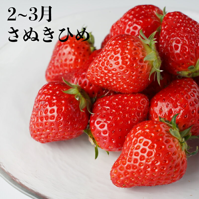 【ふるさと納税】 甘くてジューシー！ 丸亀の人気フルーツ定期便 全4回 いちご 桃 シャインマスカット みかん さぬきひめ 金時紅みかん 香川県 丸亀市 サムネイル3